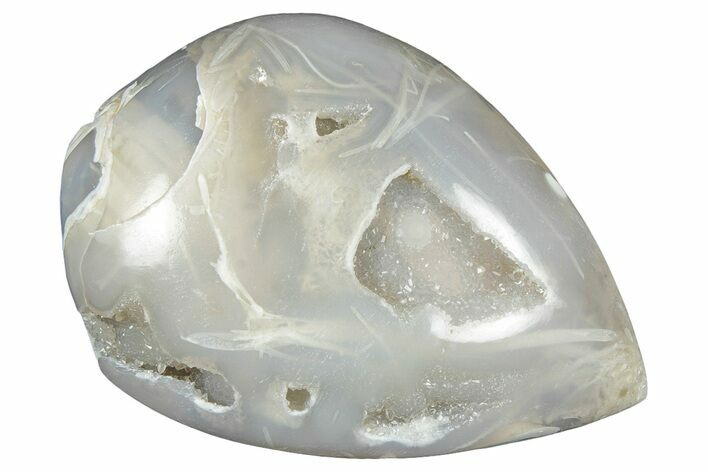 Chalcedony Replaced Gastropod With Sparkly Quartz - India #320833